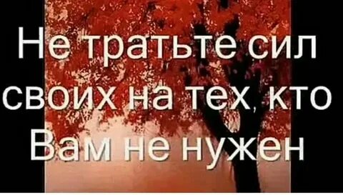 Жизнь мою ты погубила лезгинка