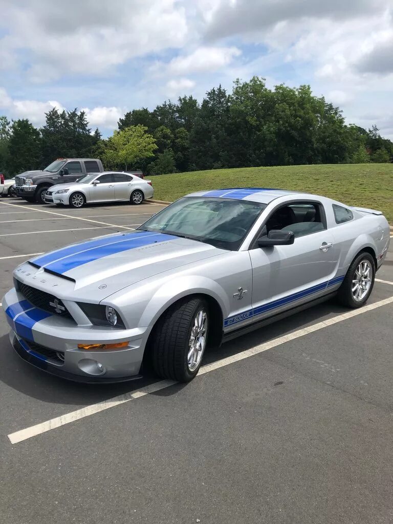 Форд Мустанг 2008. Форд Мустанг gt 2008. Ford Shelby 2008. Форд Мустанг 2008г. Мустанг 2008