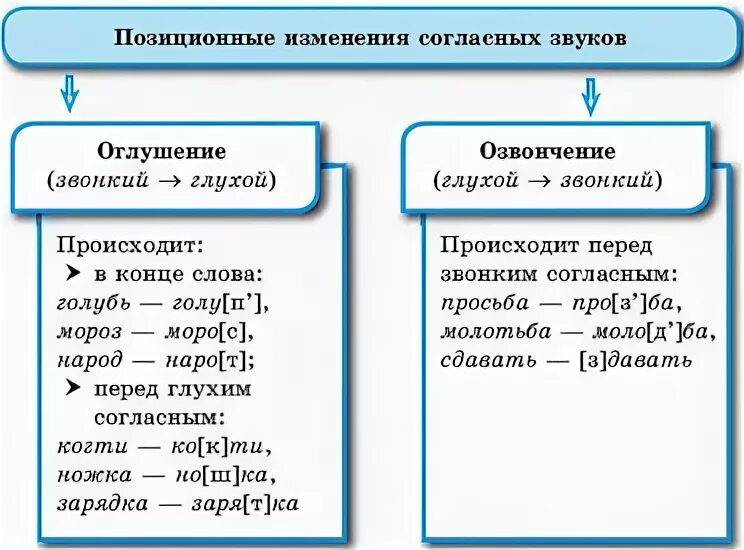 Укажите примеры оглушения согласных Список твердых слов