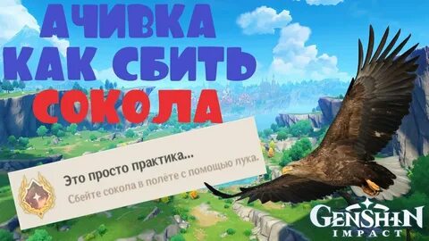 Сбейте сокола