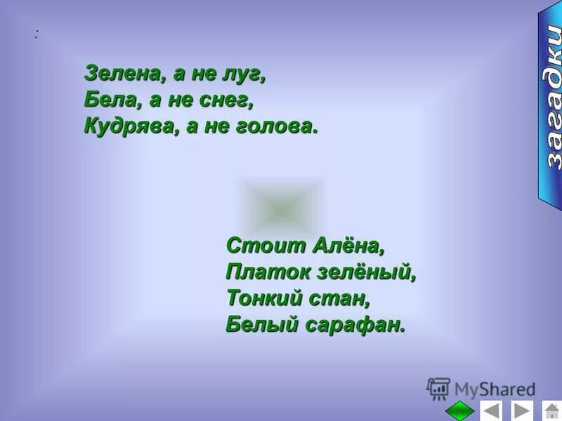 Загадка стоит алена платок. Зелена а не луг бела а не снег. Зелена а не луг бела а не снег кудрява а не человек. Зелена а не луг бела а не снег кудрява а не голова отгадка на загадку. Ptktyf f yt ker ,TKF F yt cytu reelhzdf f yt xtkjdtr.