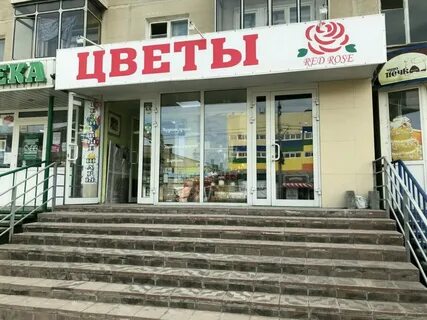 Ярче бердск