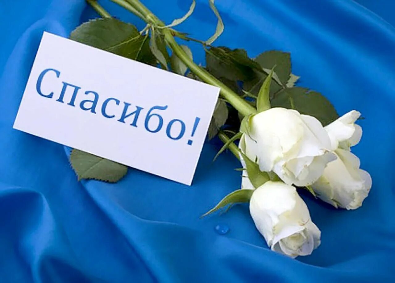 Надеюсь спасибо. Открытки с благодарностью. открытки спасибо большое. благодарность картинки. открытки со словом спасибо.