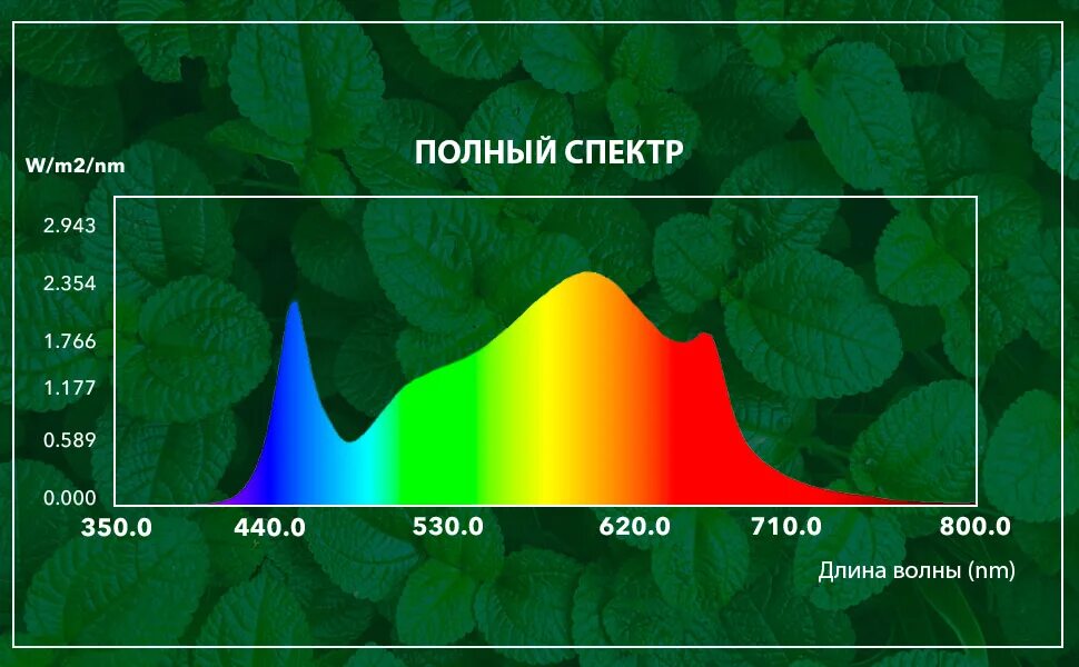 Спеспектры света для рассады. Полный спектр для растений. Полноспектральная лампа для растений. Спектр света для рассады. Холодного спектра света излучение