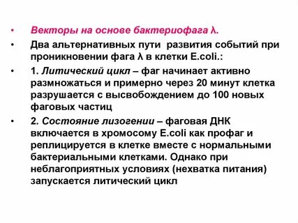 Литический цикл бактериофага