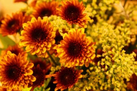 Flower fall