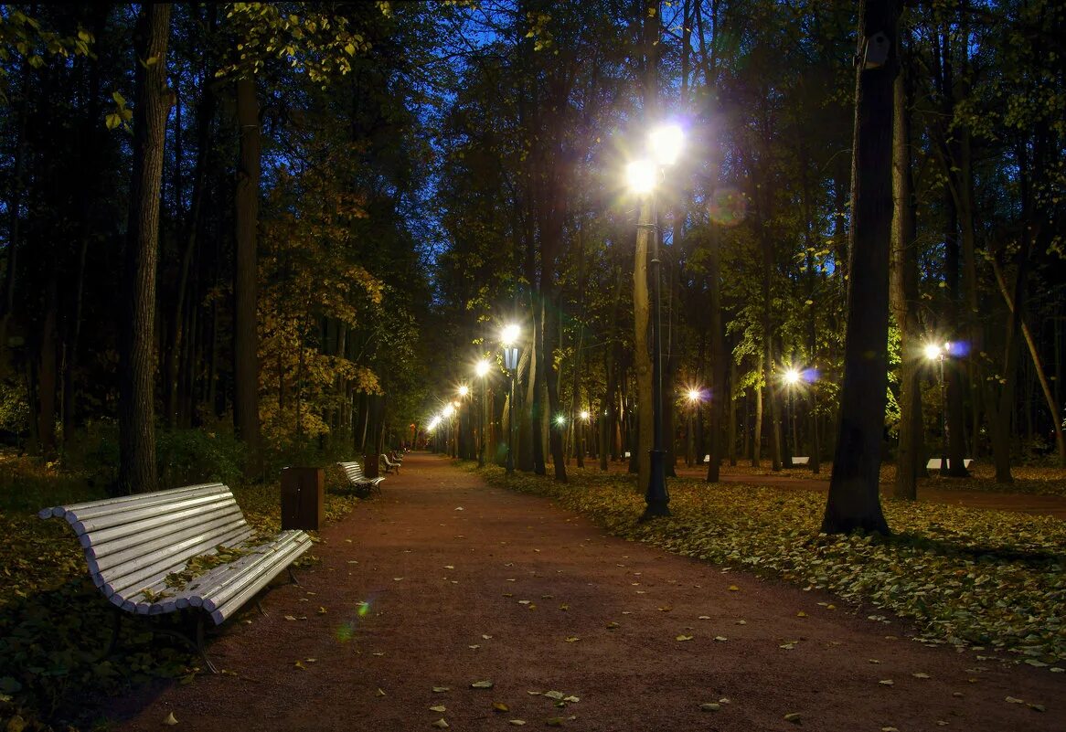 Вечером через парк. Нескучный сад Москва лавочка. Удельный парк ночью. Нескучный сад вечером. Муром Вечерний парк.