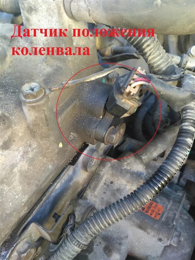 Датчик коленвала альмера где находится. Двигатель rb20 датчик коленвала. датчик коленвала ниссан альмера н16. расположение датчика коленвала ниссан альмера н16. датчик коленвала nissan almera n16.