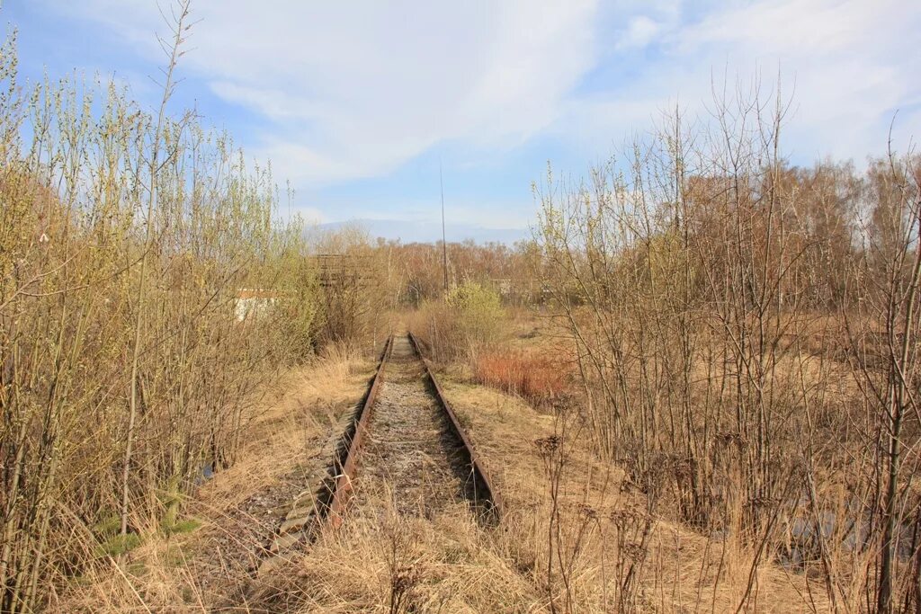 Валутино Сошно Железнодорожная линия. Смоленск Сошно железная дорога. ЖД линия Щербинка - Остафьево. Станция Сошно.