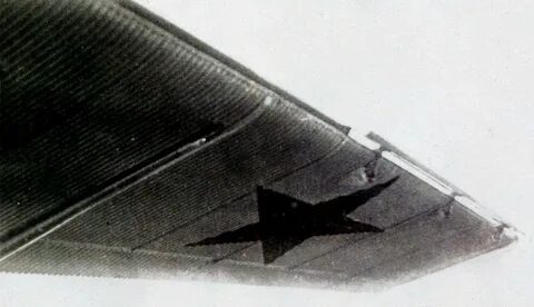Ant 5