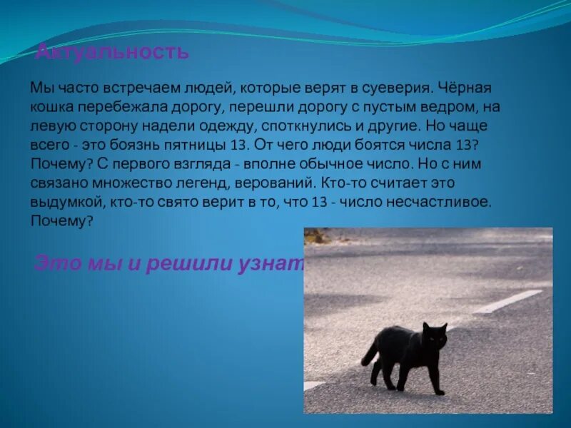Одеть на левую сторону примета. Чёрная кошка перебежала дорогу. примета черная кошка перебежала дорогу. примета черный кот перешел дорогу. кошка перебежала дорогу.