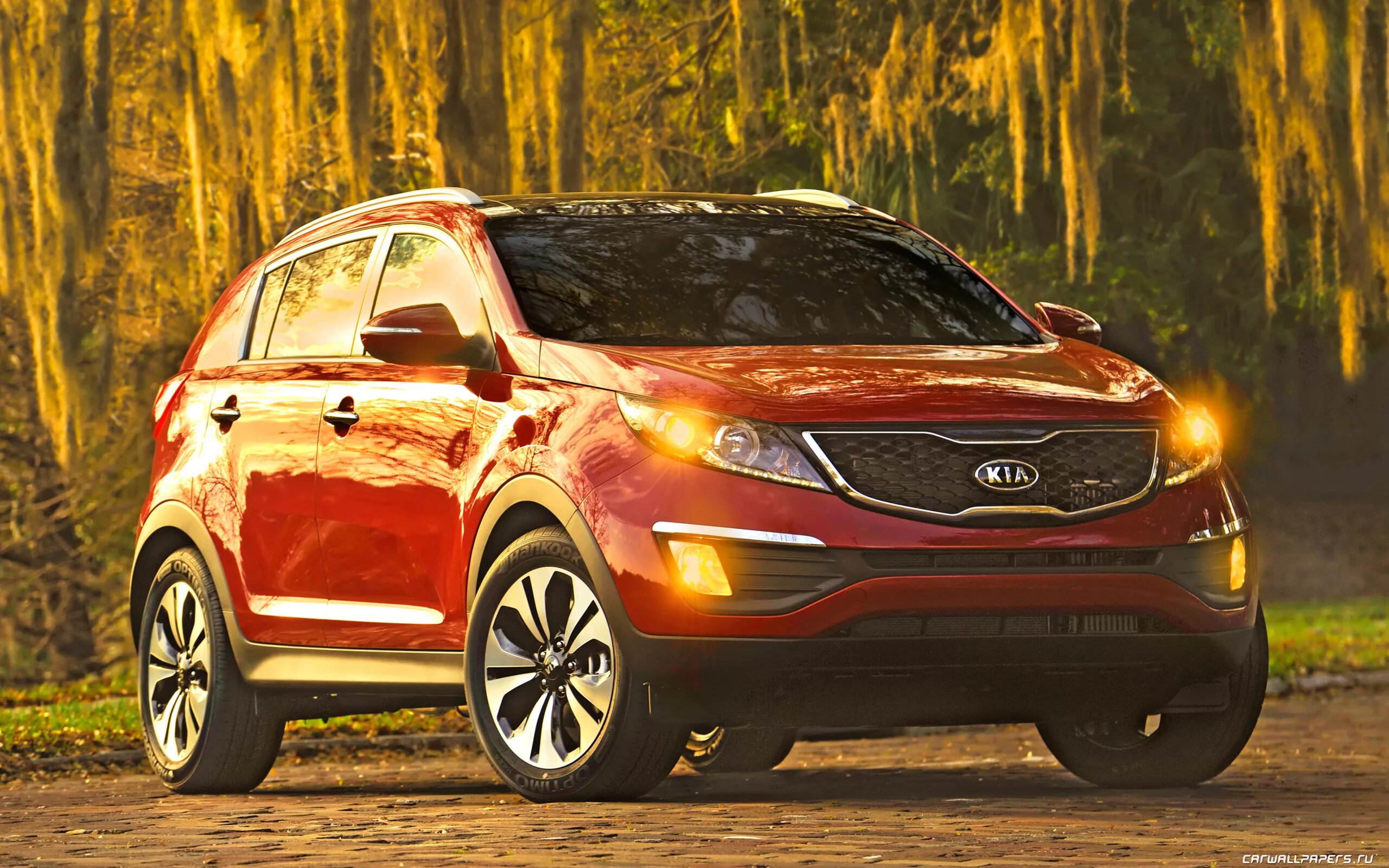 стоим машины кия. стоим машины кия. стоим машины кия. киа спортейдж 3. стоим машины кия.