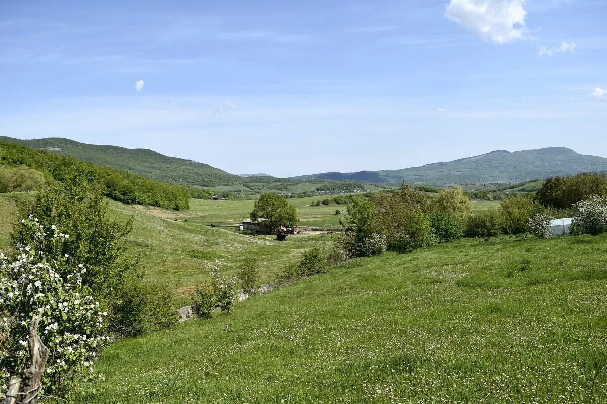 кудрино бахчисарайский район. погода в бахчисарайском районе в брянске. плодовое крым бахчисарайский район. село брянское бахчисарайский район крым. белая скала.