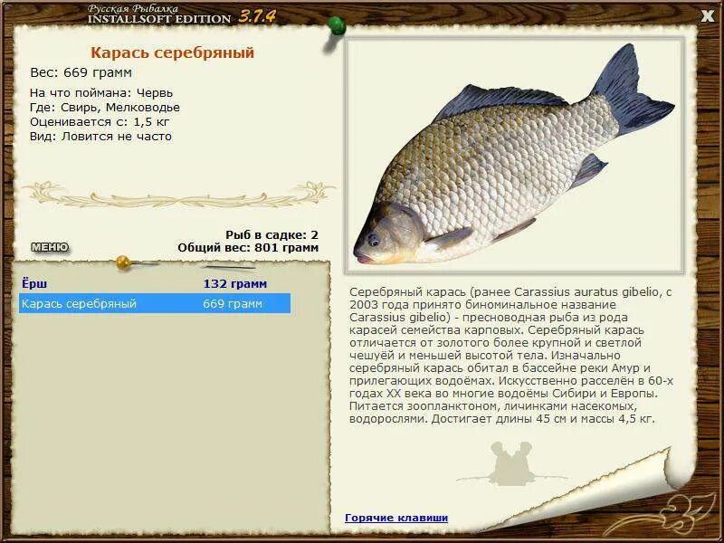 Серебряный карась рыбалка. Русская рыбалка 3 Свирь карась серебряный квест. Русская рыбалка 3 6 Свирь квест карась серебряный.