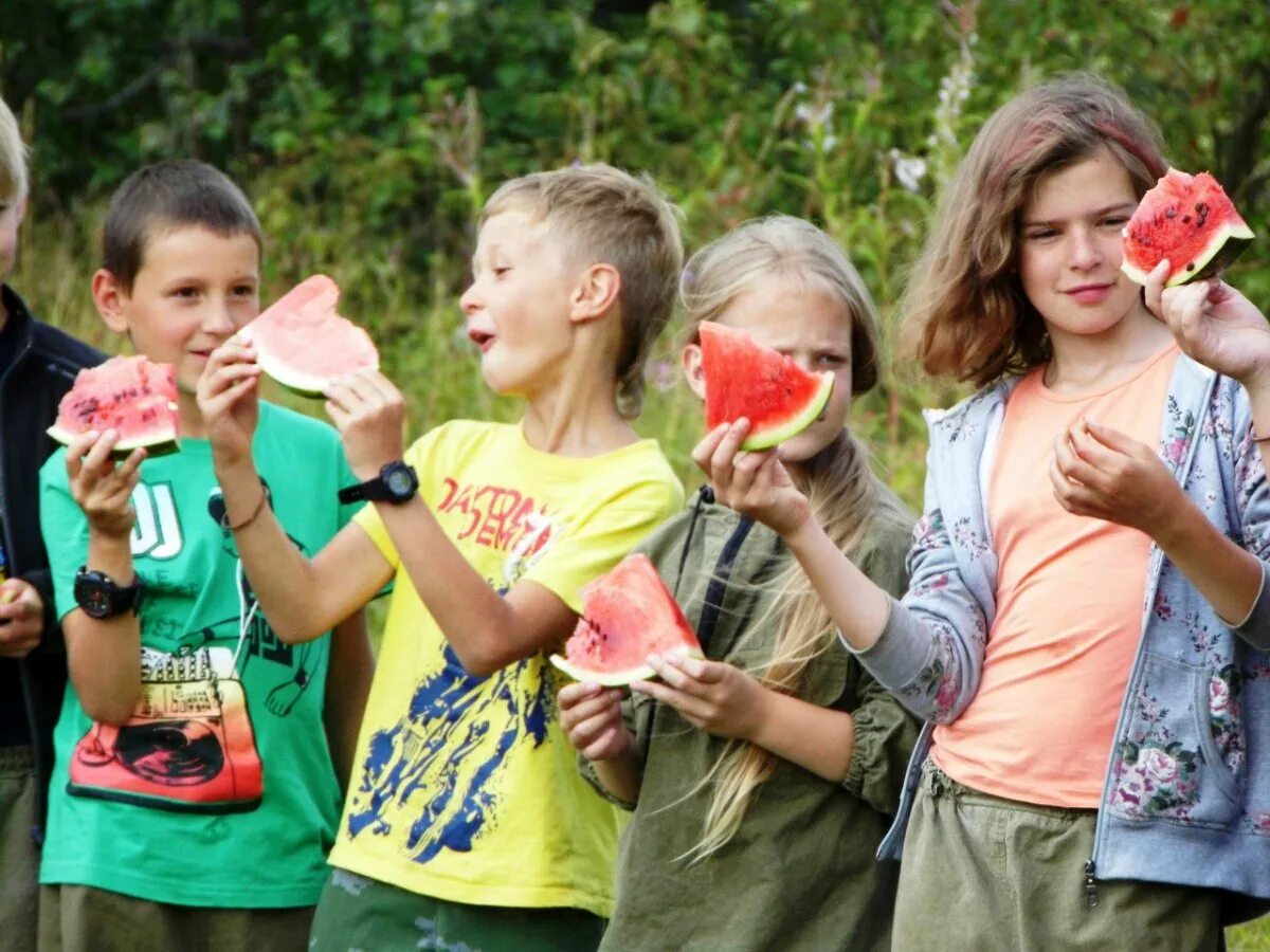 Tourist camp. Лагерь в Москве. Походный лагерь. Спортивно туристический лагерь.