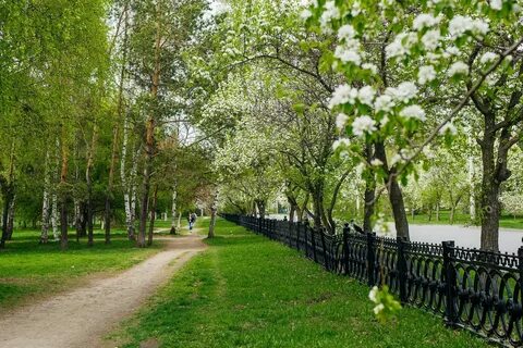 Парки и скверы рощи сады