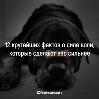 Сила факты