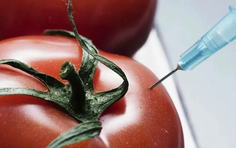 Генномодифицированные организмы. Генномодифицированные продукты. Генетически модифицированные продукты. Трансгенные продукты. Гмо продукты.