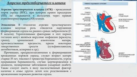 Коды впс