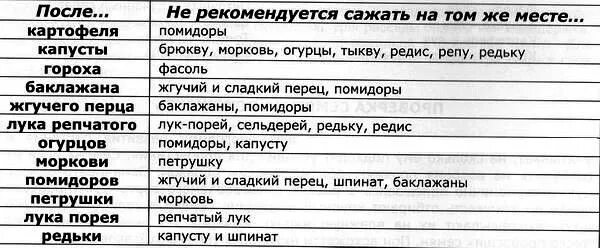 Что посадить после помидор. Что можно сажать после картофеля. что можно посадить после картошки. после чего можно сажать морковь на следующий год. чтоможнл сажать после картошки.
