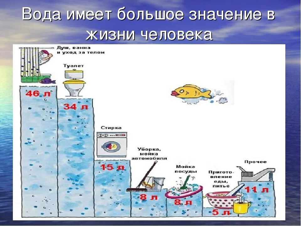 Вода ее применение. Схема вода в жизни человека. вода роль в жизни человека для детей.