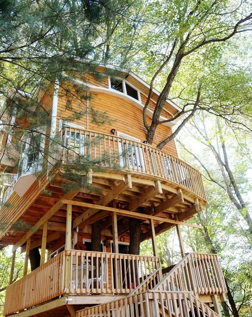 Домик на дереве. Трехэтажный домик на дереве. Двухэтажный домик на дереве. Большой дом на дереве.
