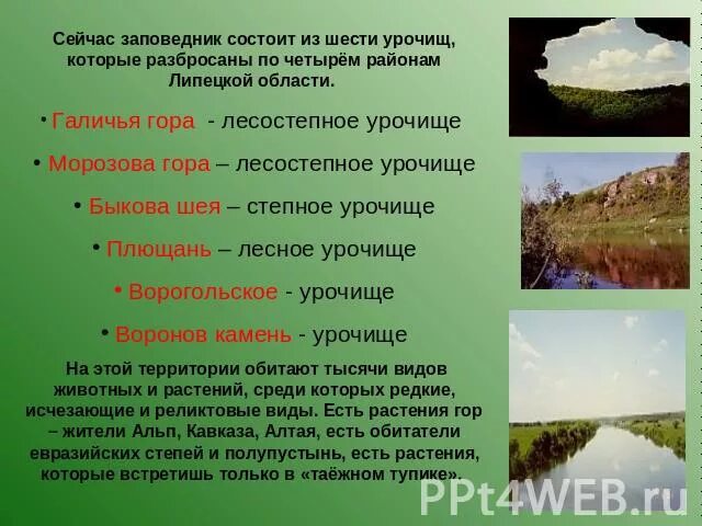 Заповедник галичья гора воргольские скалы. Воргольские скалы в липецкой. Заповедник галичья гора воргольские скалы. Заповедник галичья гора презентация. Заповедники липецкого края.