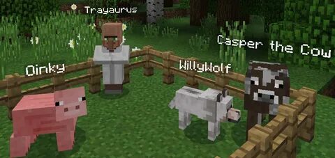 Name minecraft