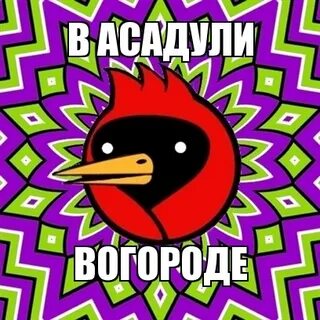 Поставь разбуди