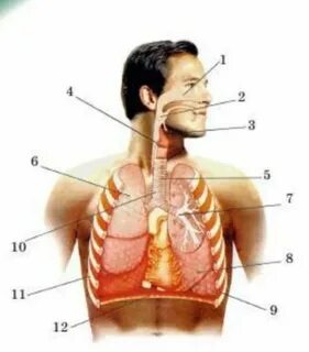 Түсірілім кезінде жұлдыздар арасында жыныстық қатынас бола ма?