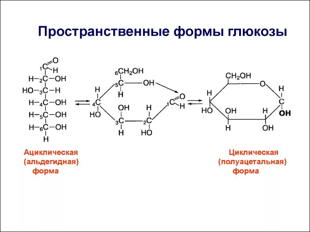 Напишите формулы глюкозы. Циклическая полуацетальная форма Глюкозы. Циклическая форма Глюкозы формула. Глюкоза Ациклическая формула. Циклическая форма Альфа Глюкозы.