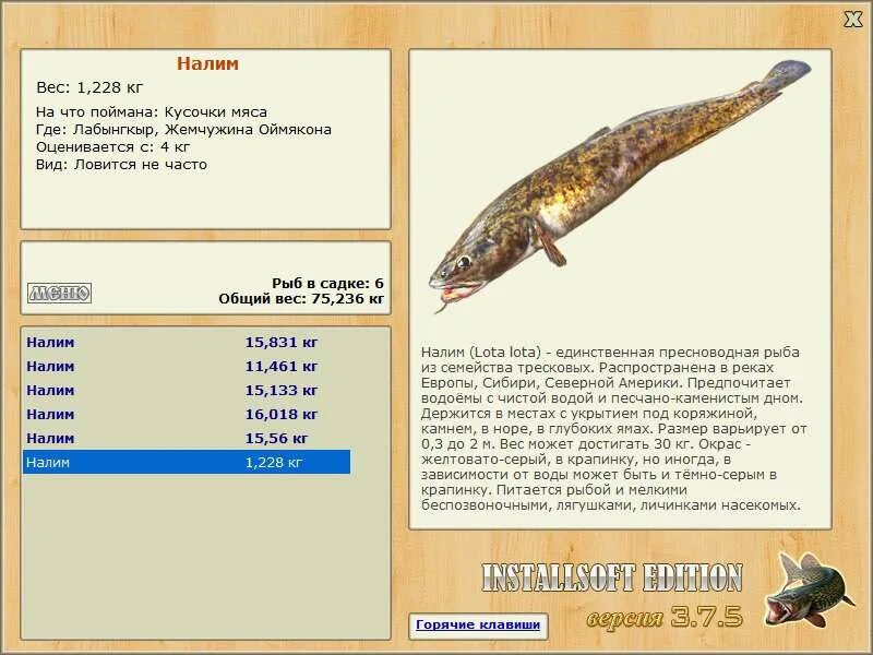 Клуб рыбалки налим. Налим ру клуб активной рыбалки. Клуб рыбалки налим. Налим реальная рыбалка. Клубы рыбалки.