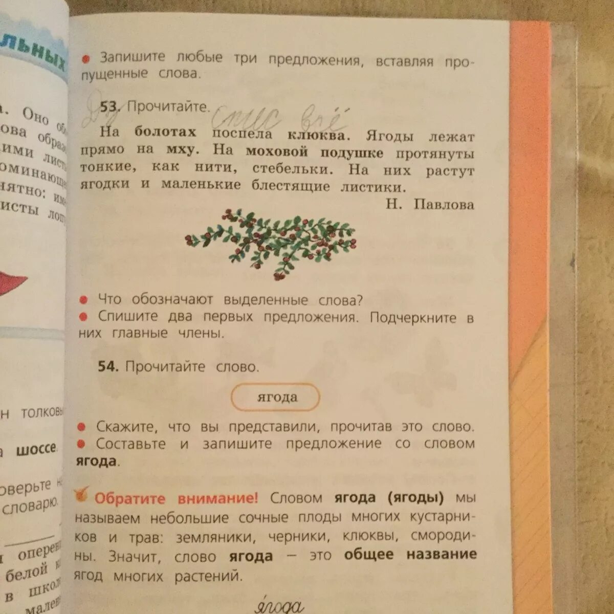 Прочитай слово ягода. Предложение со словом ягода. Любое предложение. Составь предложение со словом ягода. Предложение про ягоды.