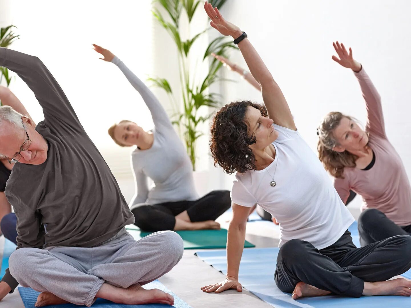 Занятия на 5 человек. Тренажеры в зале. Физические упражнения. Занятия на 5 человек. Степ аэробика step-basics.