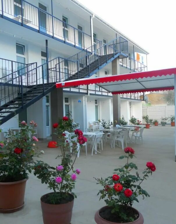 Город николаевка. Курортный 15, николаевка. Суд-николаевка интернет. Гостевой дом гармония евпатория. Оазис ул.