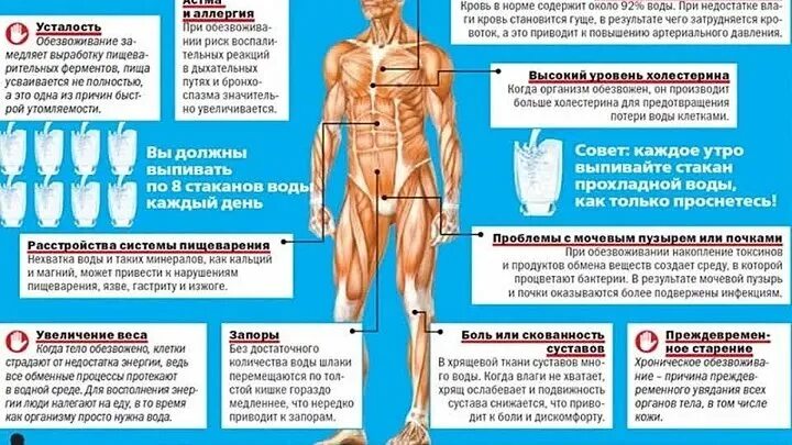 Дегидратация организма. Симптомы алкогольного обезвоживания. Хроническое обезвоживание организма.