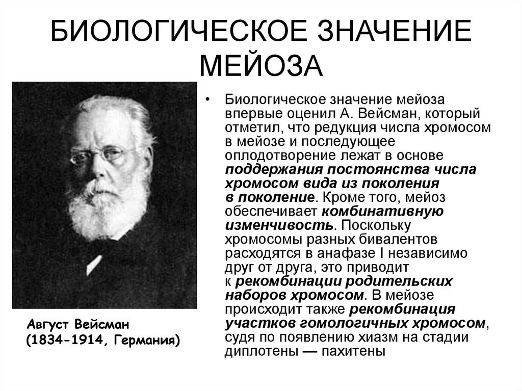 Биологическая сущность мейоза состоит в