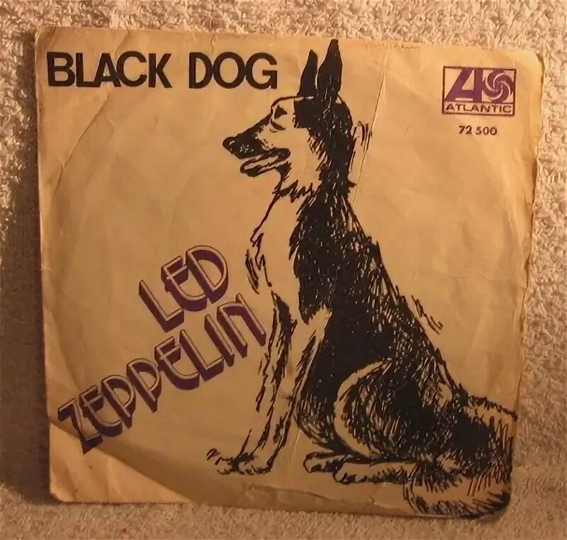 Black dog перевод на русский. Led Zeppelin Black Dog. Корм Блэк дог. Led Zeppelin Black Dog Single. Блэк дог лед Зеппелин рисунки.