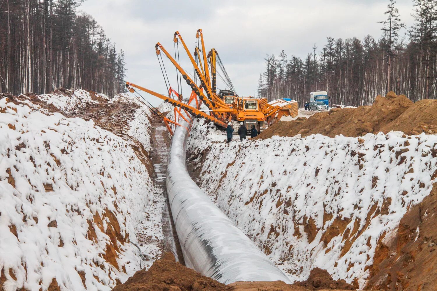 Магистральный трубопровод сила Сибири. Сила Сибири газопровод стройка. Нефтепровод ВСТО трубоукладчики. Прокладка трубопровода.