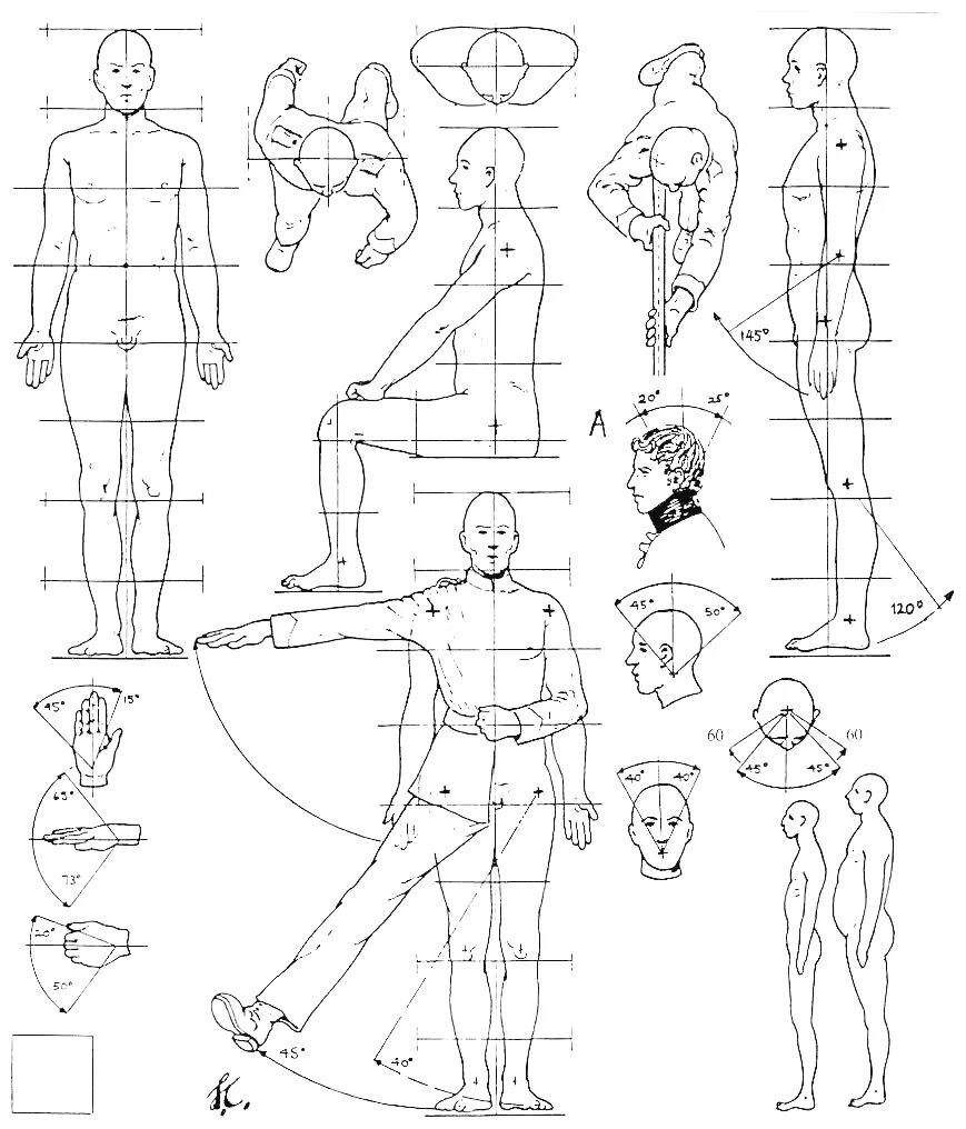 Схема человека. Пропорция человека для рисования сбоку. Пропорции человека для рисования. Пропорции тела человека для рисования. Схематическая фигура человека.