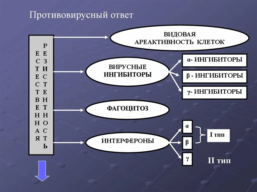 Видовая ареактивность клеток. Иммунологическая ареактивность. Естественная резистентность иммунология. Тканевая ареактивность.