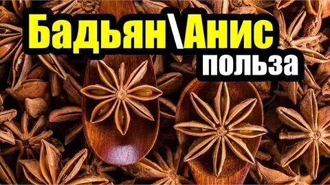 Польза бадьяна