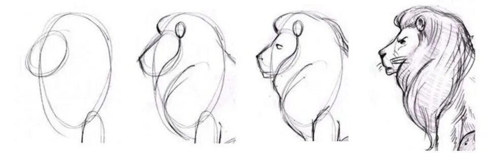 Как нарисовать голову льва карандашом, красками поэтапно? Lion sketch, Lion face