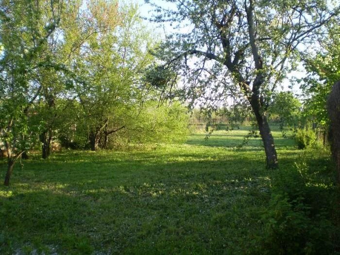 Станица Ильская Краснодарский край. Ильский Краснодарский край парк. П. Ильский Краснодарского края фото