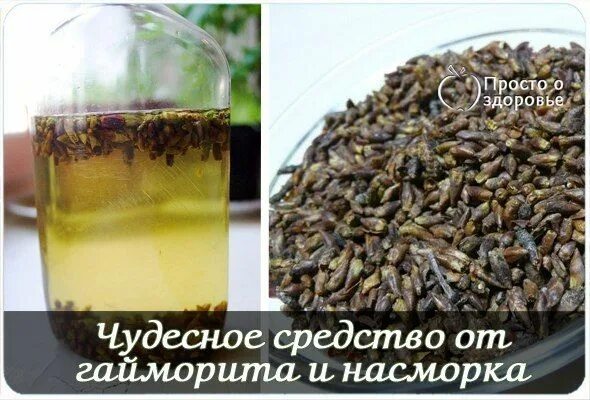 Самые лучшие средства от гайморита. Капли от синусита и гайморита синуфорте. Капли от синусита и гайморита синуфорте. Самые лучшие средства от гайморита. Назальные капли синуфорте.
