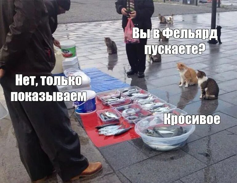 Рыбу продаете нет показываю красивое. Рыбу продаете нет показываю красивое