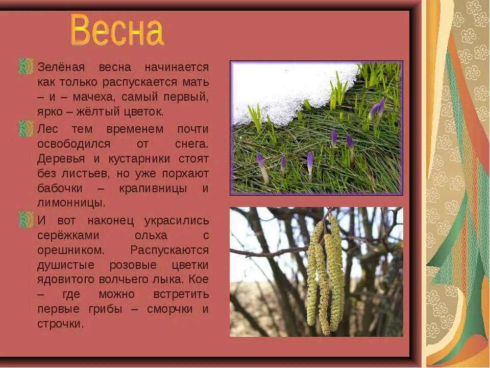 План преображения природы весной. Описание весны. Лес весной описание.