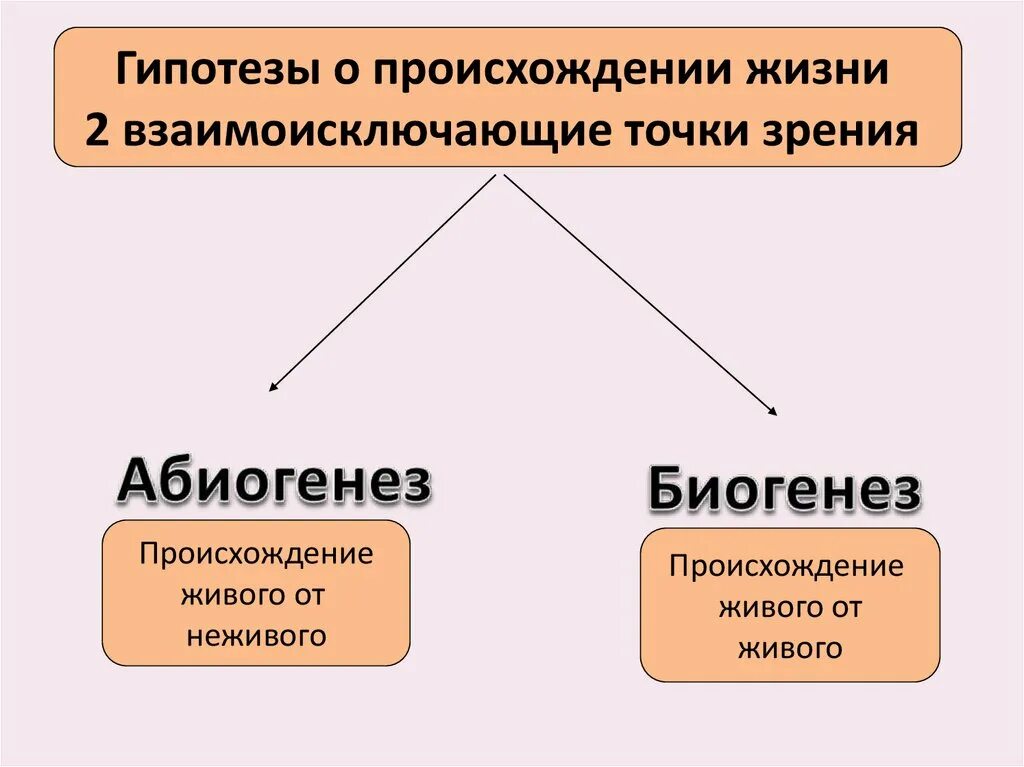 Сравните гипотезы. Гипотезы возникновения жизни на земле. Теория биогенеза и абиогенеза. Развитие представлений о происхождении жизни. Гипотезы о происхождении жизни современные теории.