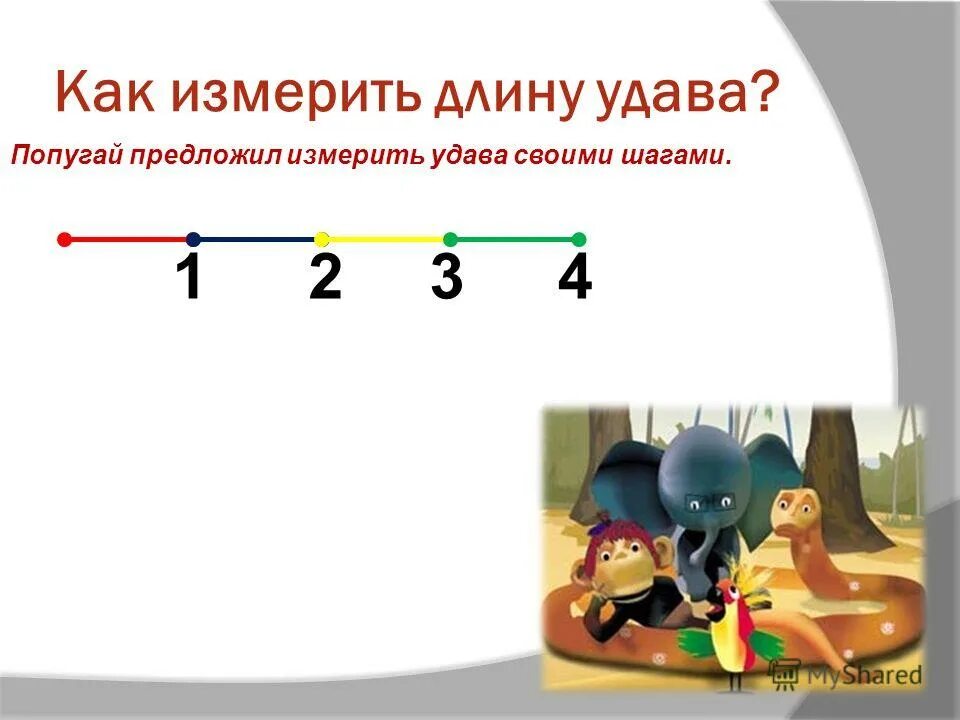 Измерить удава. Как мерили удава. Как померять удава. Измерь длину удава запиши. Сколько нужно попугаев чтобы измерить удава