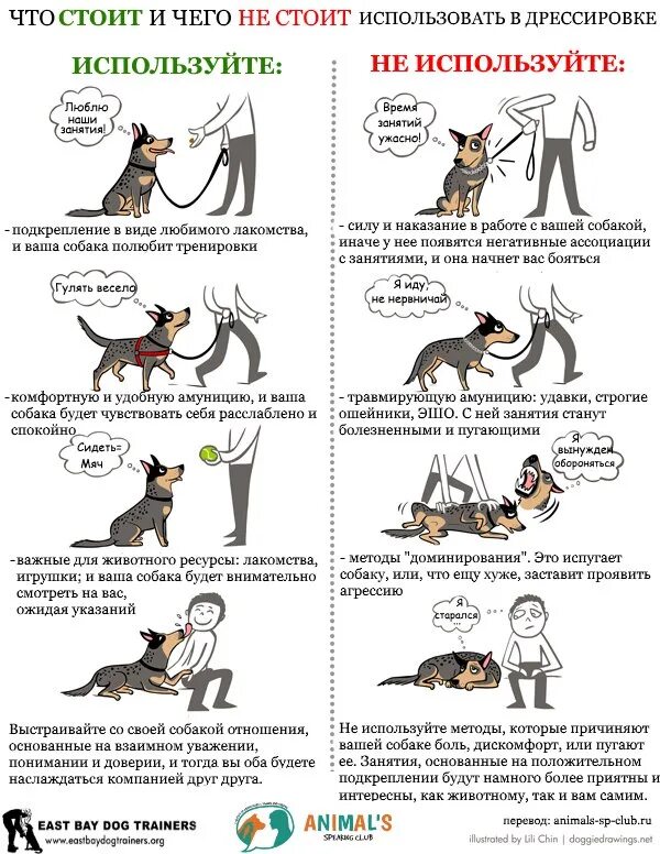 Основные команды для дрессировки собак. Методы дрессировки собак. Советы по дрессировке собак. Команды для собаки обучение. Команды и жесты окд для собак.